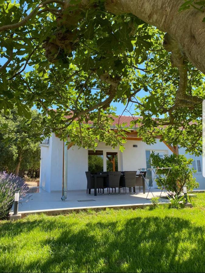 Holiday House Lucia ซูโกชัน ภายนอก รูปภาพ