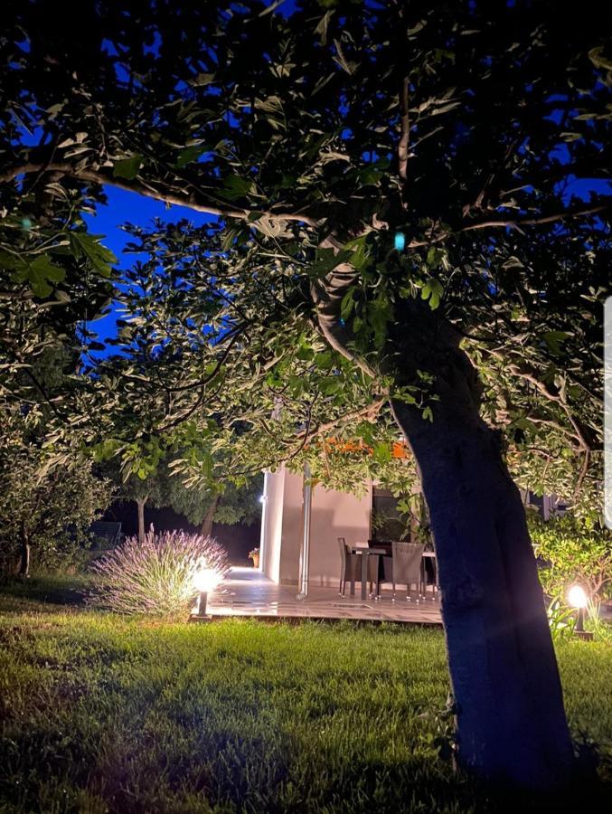 Holiday House Lucia ซูโกชัน ภายนอก รูปภาพ